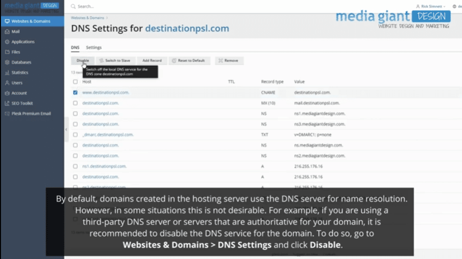 Disabling DNS Service In Your Hosting
