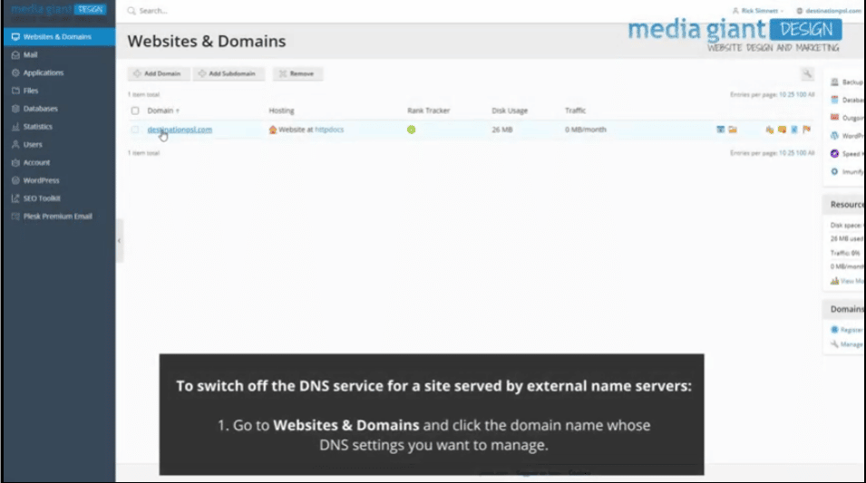 Registrar’s DNS Settings in Your Hosting