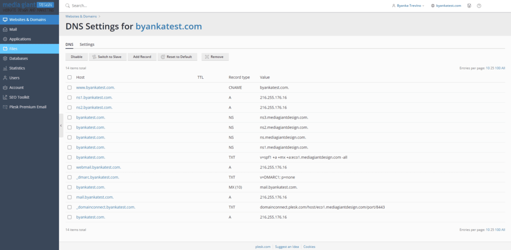 Your Hosting Provider as a Master DNS Server