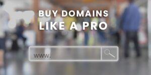 Six Ways to Buy Domains Like a Pro-2
